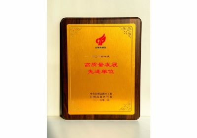  高质量发展先进单位