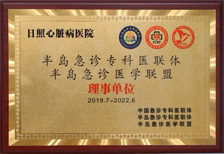 半岛急诊专科医联体